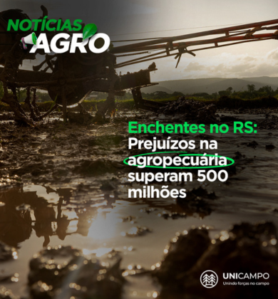 Enchentes no RS: Prejuízos na Agropecuária Superam Meio Bilhão de Reais