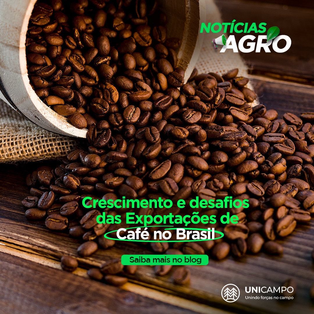Crescimento e Desafios das Exportações de Café no Brasil