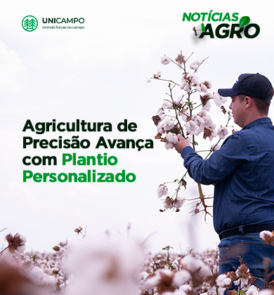 Agricultura de Precisão Avança com Plantio Personalizado: Mais Produtividade e Eficiência no Milho e Algodão