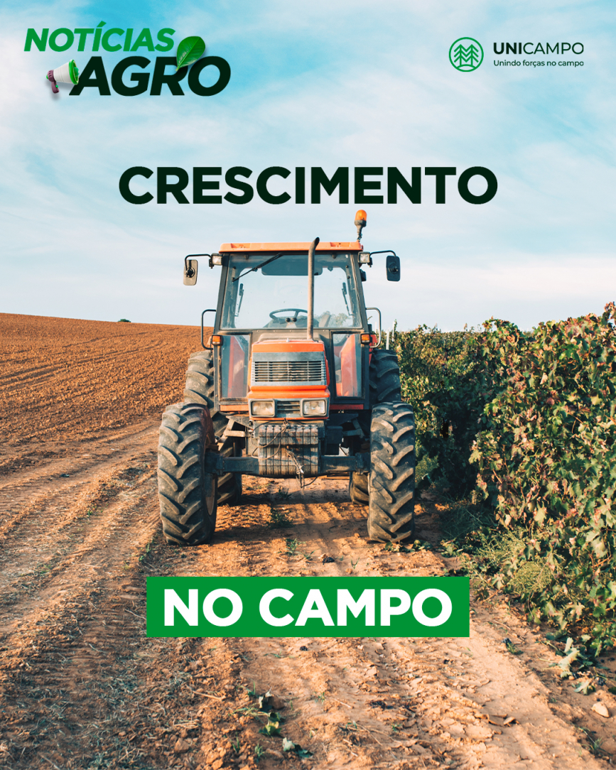 Crescimento no campo: perspectivas otimistas para o agronegócio em 2025