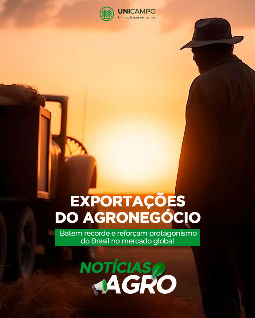 Exportações do agronegócio batem recorde e reforçam protagonismo do Brasil no mercado global